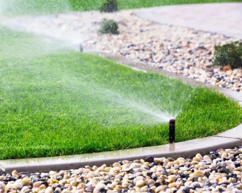 Drip Sprinkler Systems for Las Vegas Desert Landscapes