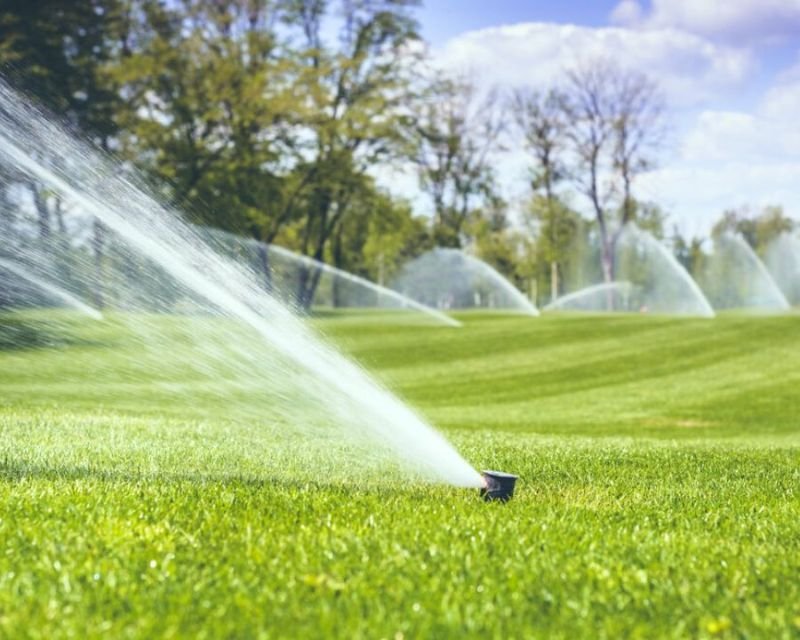 Types of Irrigation and Sprinkler Systems for Las Vegas Homes