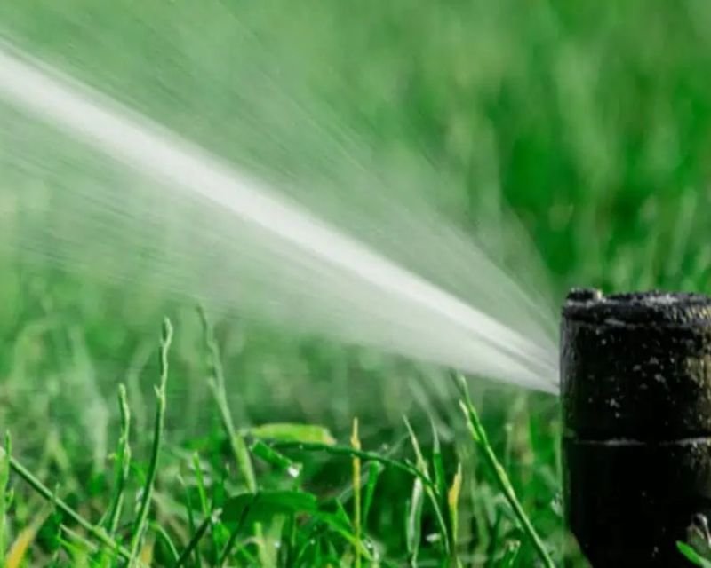 Spring Irrigation Cleaning Tips for Las Vegas Yards