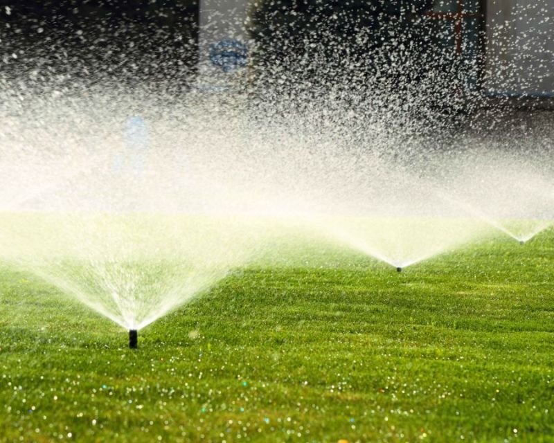 Top Tips for Sprinkler Repair and Maintenance in Las Vegas