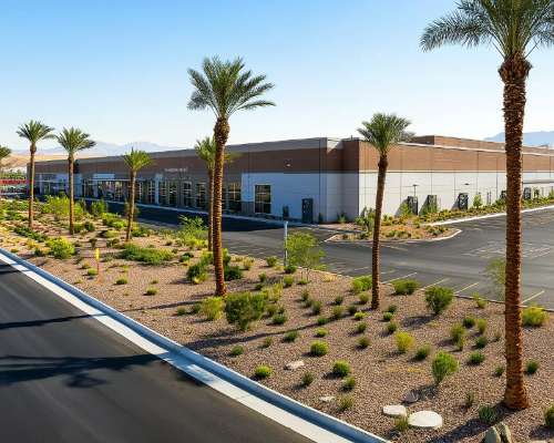 Best Artificial Grass Options for Las Vegas Commercial Properties