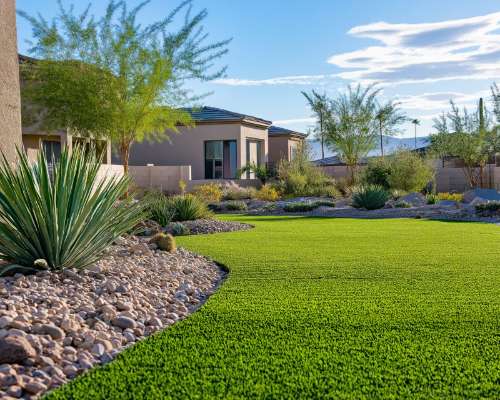 Las Vegas Plants That Need Very Little Water