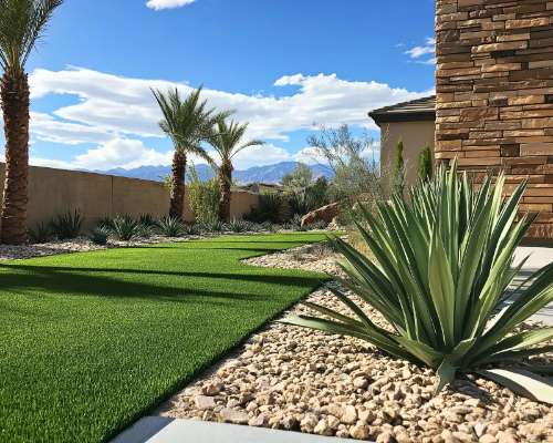 Best Las Vegas Plants for a Drought-Tolerant Landscape