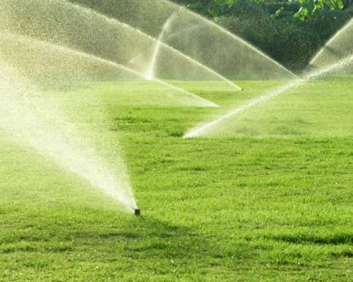 Understanding the Terms of the Water Smart Landscapes Rebate Program