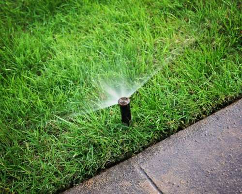 Converting Grass to Desert Landscaping: Watersmart Landscape Program