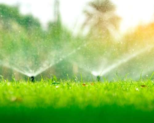 Why Las Vegas Homeowners Love the Water Smart Rebate Program