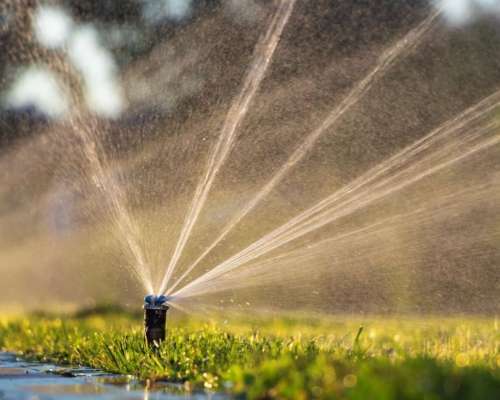 Water Smart Landscapes Rebate Southern Nevada Water
