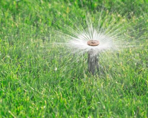 Cost vs. Savings: is the Water Smart Landscapes Rebate Worth It?